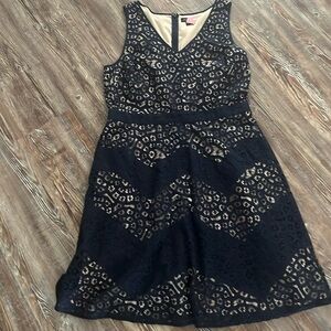 Navy lace The Limited dress, size 12